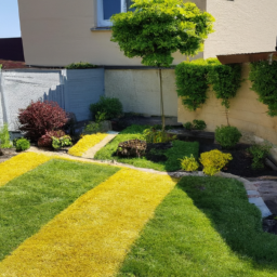 Abattage : enlevez les arbres dangereux ou indésirables de votre jardin en toute sécurité Annonay